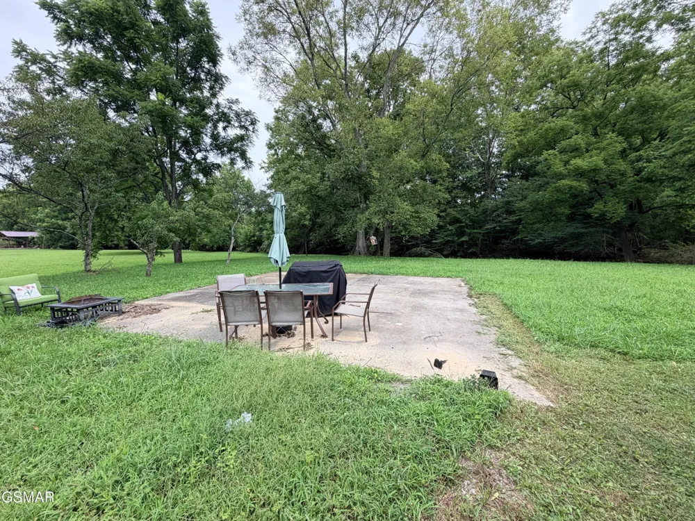 675 Catnip Road Del Rio, TN 37727