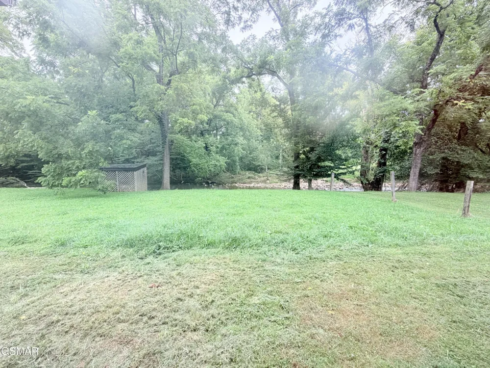 675 Catnip Road Del Rio, TN 37727