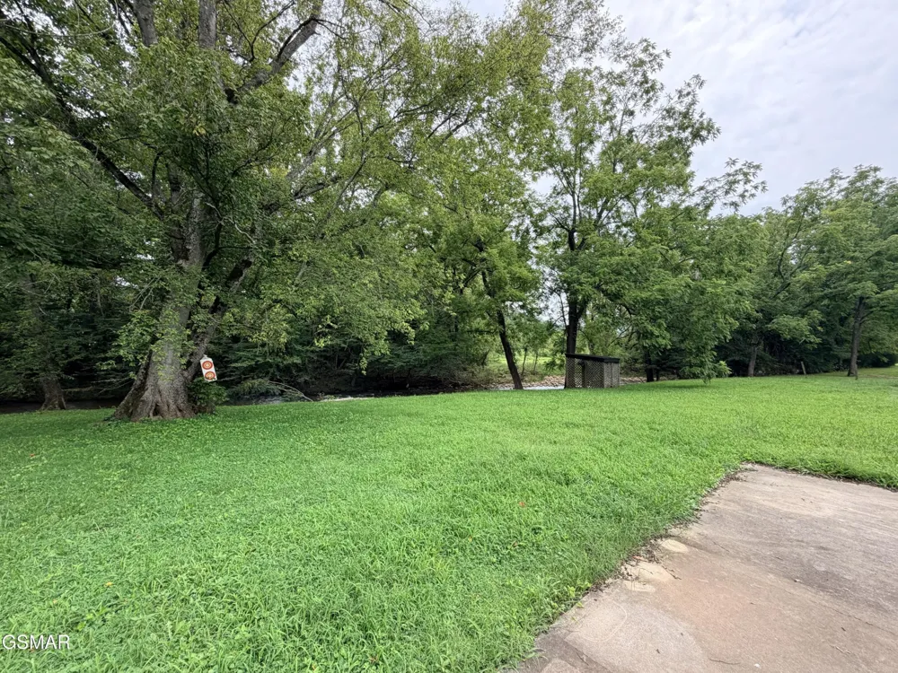 675 Catnip Road Del Rio, TN 37727