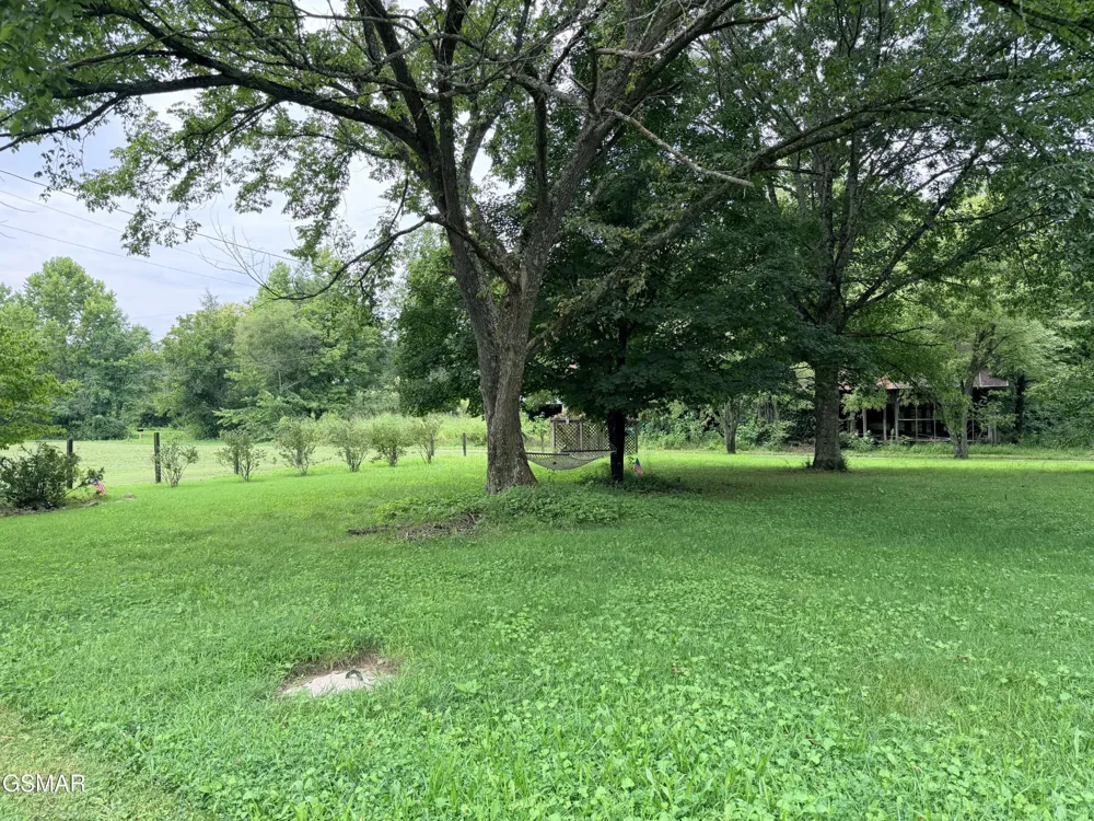 675 Catnip Road Del Rio, TN 37727