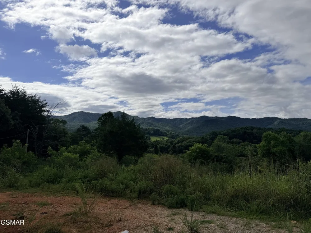 500 Wild Cherry Way Newport, TN 37821
