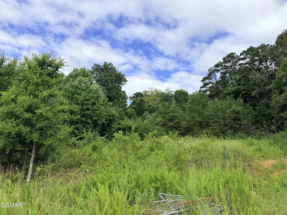 500 Wild Cherry Way Newport, TN 37821