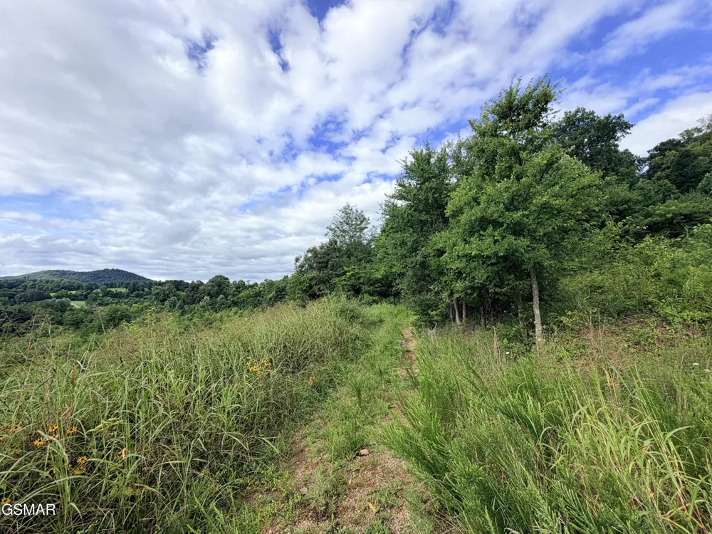 500 Wild Cherry Way Newport, TN 37821