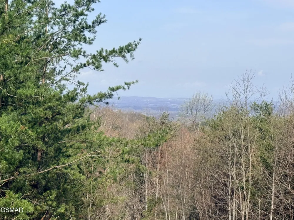 0 Trentham Road Newport, TN 37821