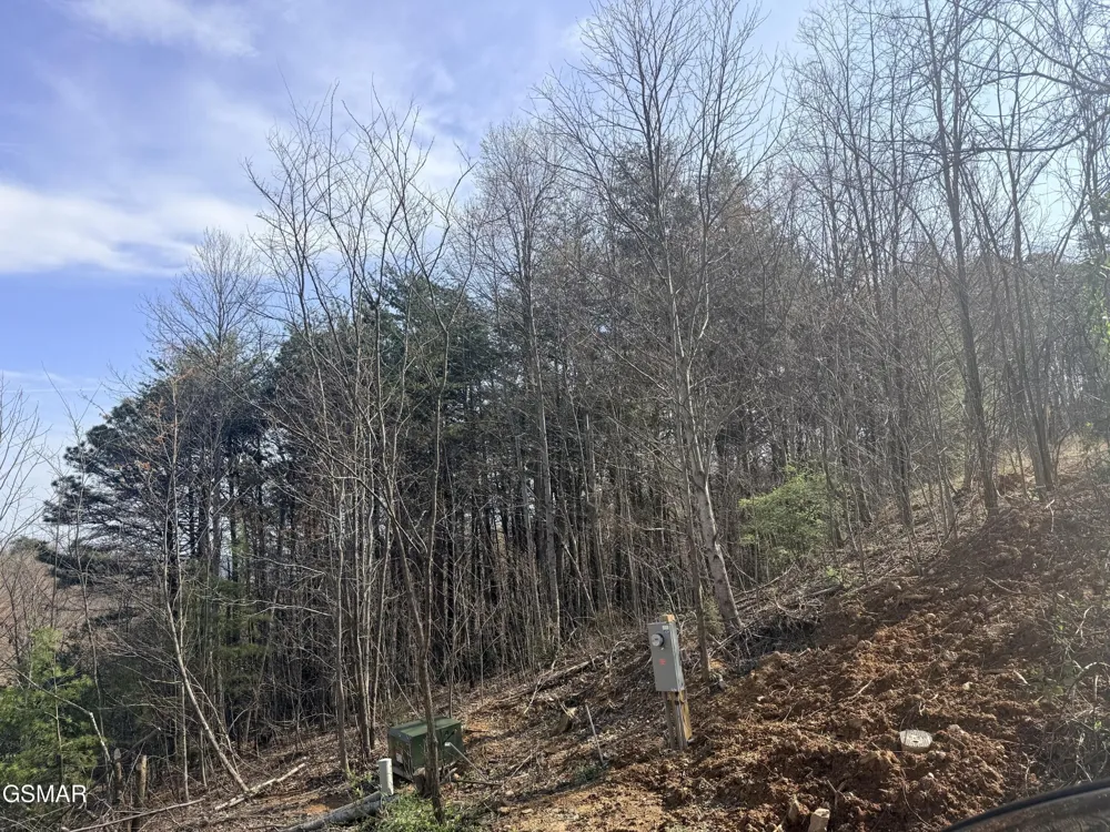 0 Trentham Road Newport, TN 37821