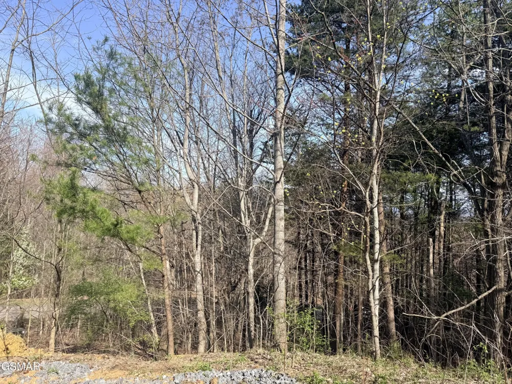 0 Trentham Road Newport, TN 37821