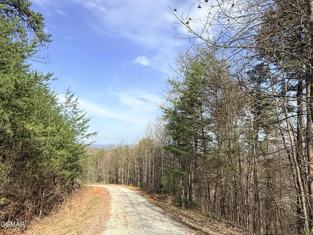 0 Trentham Road Newport, TN 37821