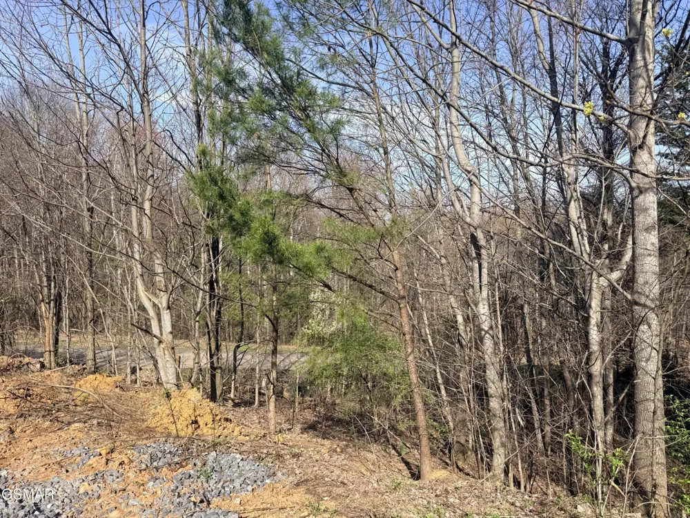 0 Trentham Road Newport, TN 37821