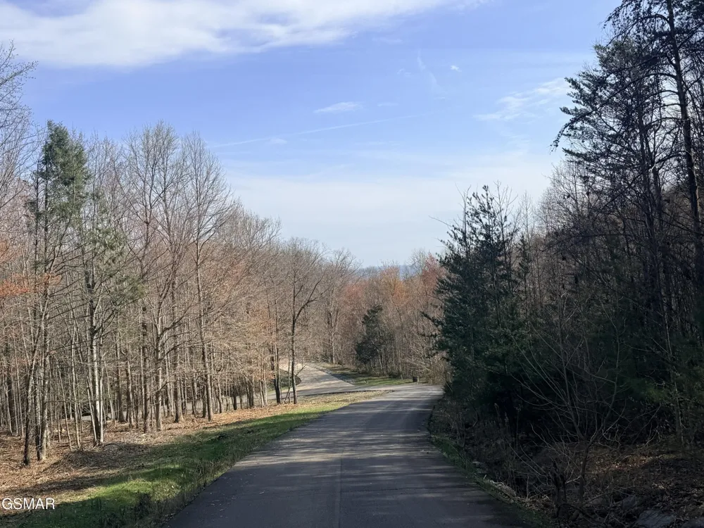 0 Trentham Road Newport, TN 37821