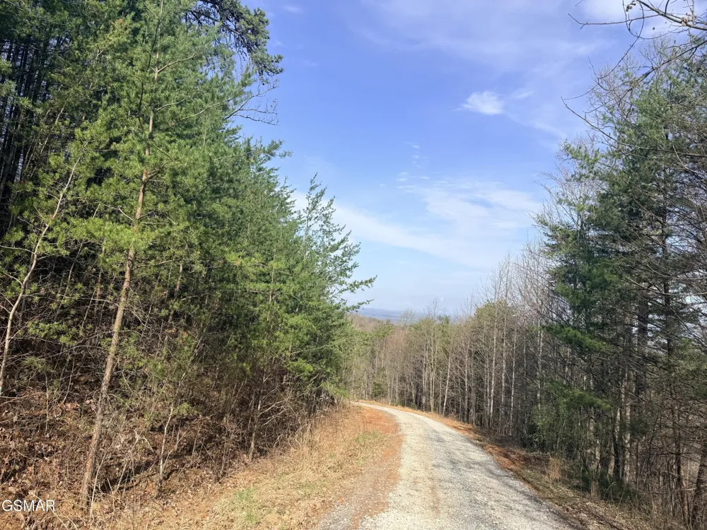 0 Trentham Road Newport, TN 37821