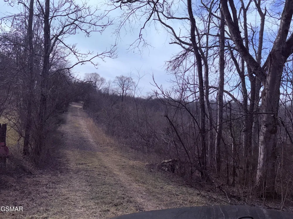 0 Chickory Road Newport, TN 37821