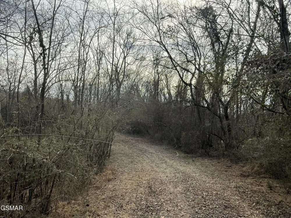 0 Chickory Road Newport, TN 37821