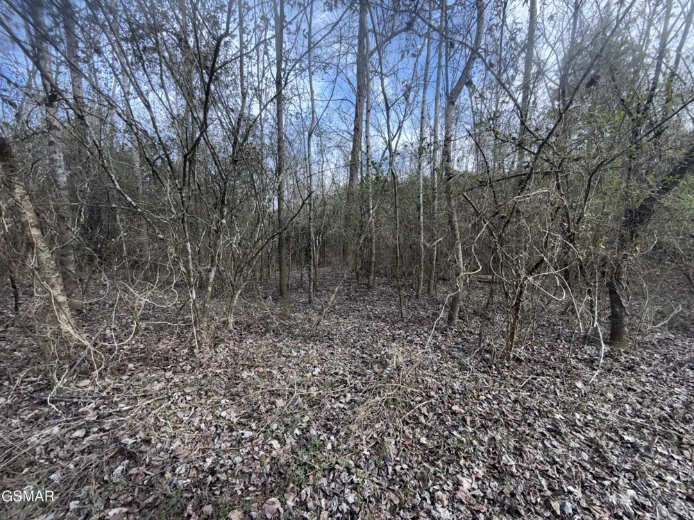 0 Chickory Road Newport, TN 37821