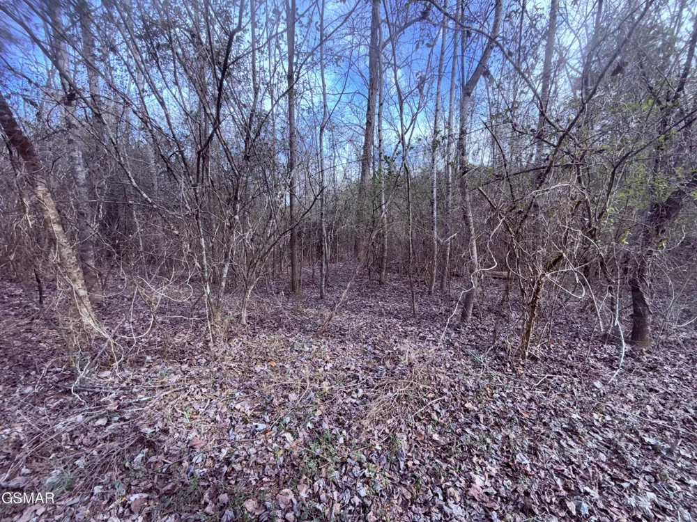 0 Chickory Road Newport, TN 37821