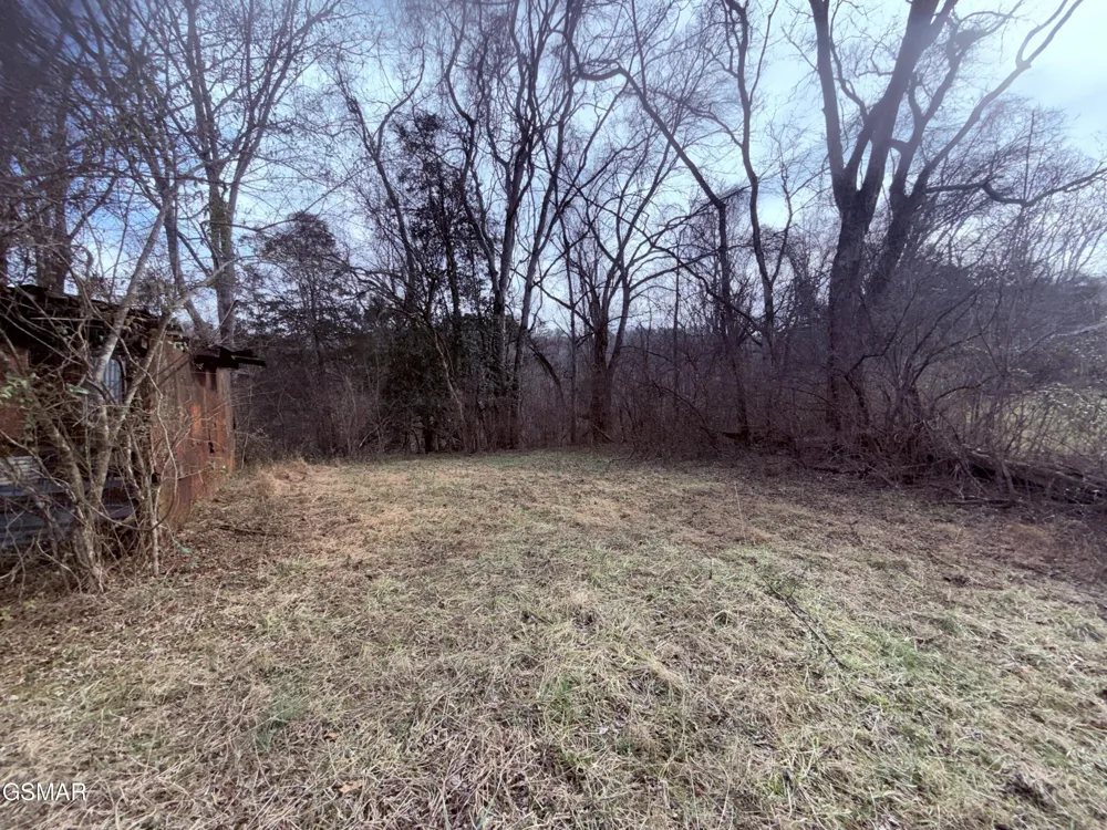 0 Chickory Road Newport, TN 37821