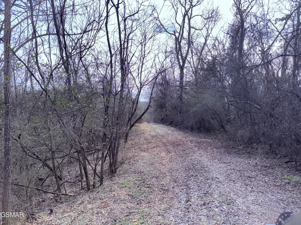 0 Chickory Road Newport, TN 37821