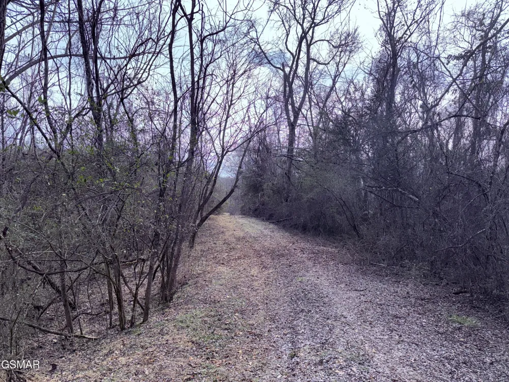 0 Chickory Road Newport, TN 37821