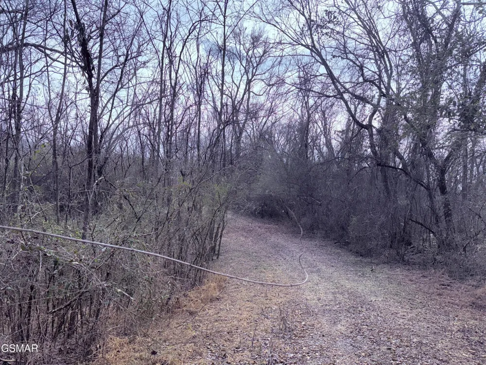 0 Chickory Road Newport, TN 37821