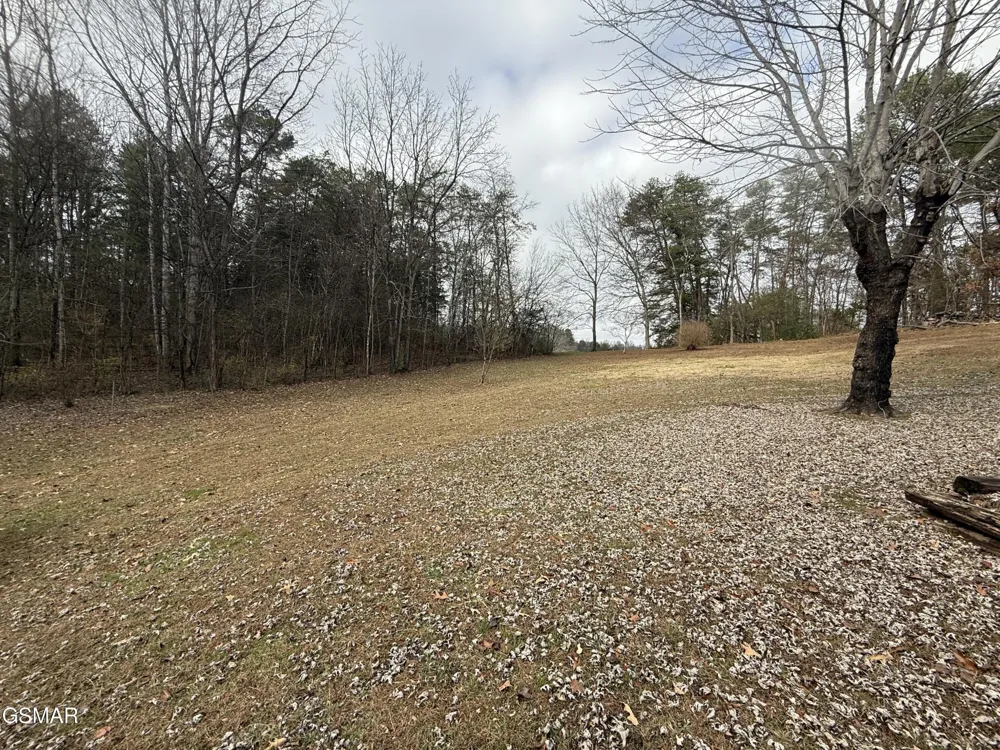 1342 Edwina Bridgeport Road Newport, TN 37821