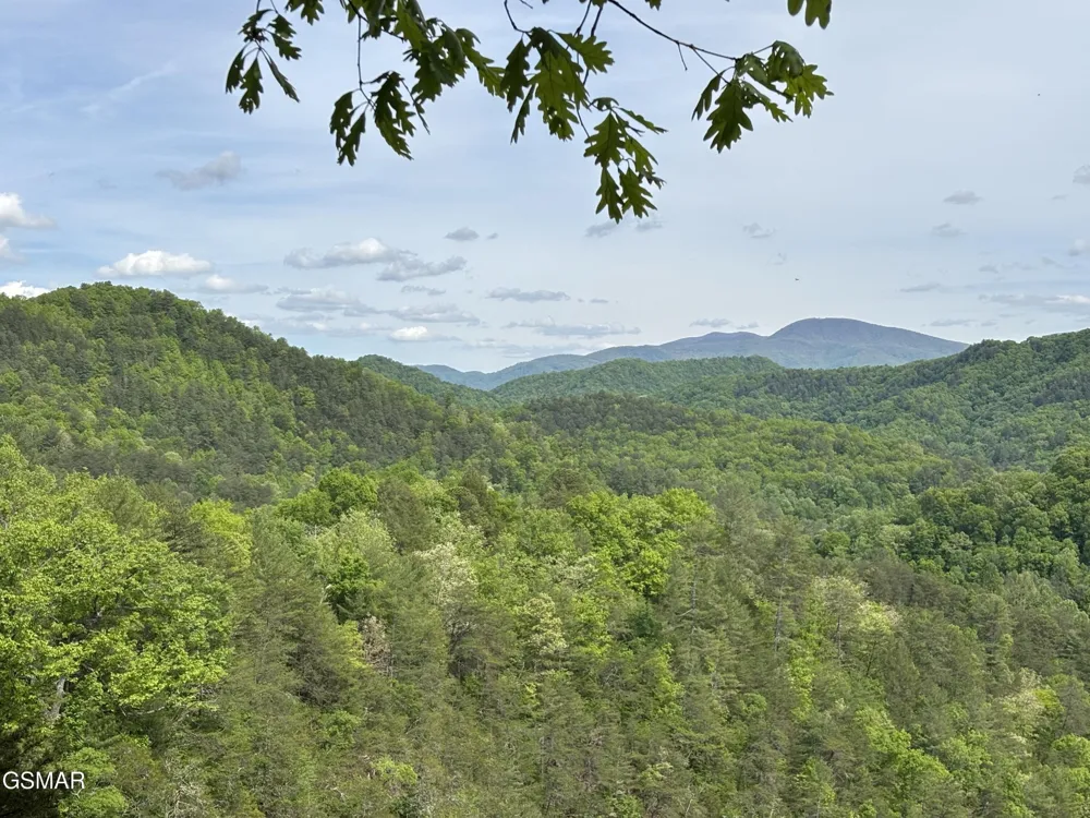1450 Cabin Way Del Rio, TN 37727