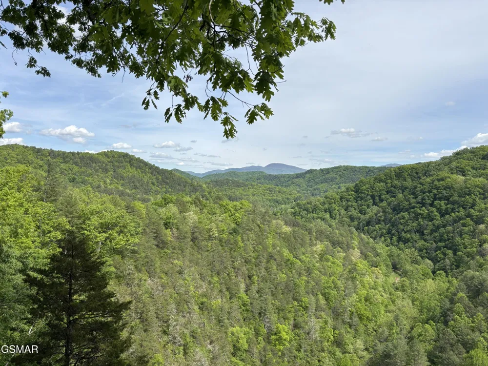 1450 Cabin Way Del Rio, TN 37727