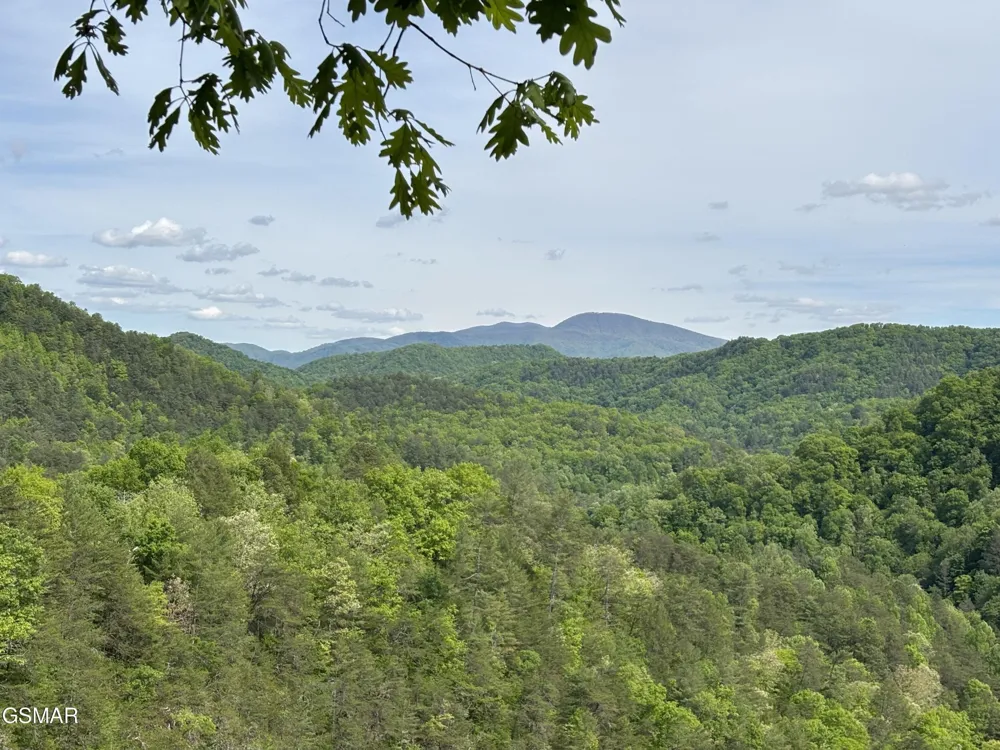1450 Cabin Way Del Rio, TN 37727
