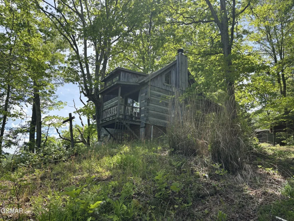 1450 Cabin Way Del Rio, TN 37727