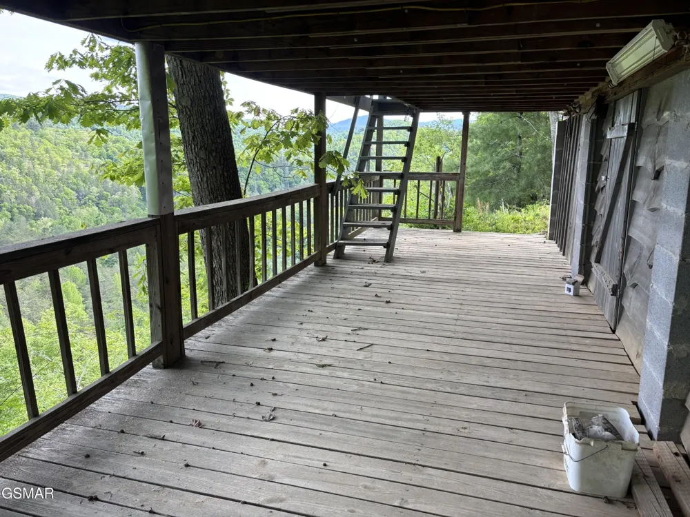 1450 Cabin Way Del Rio, TN 37727