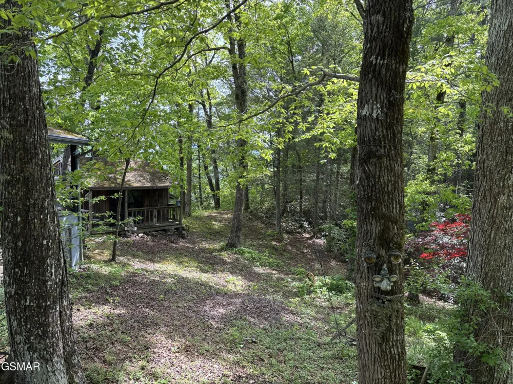1450 Cabin Way Del Rio, TN 37727