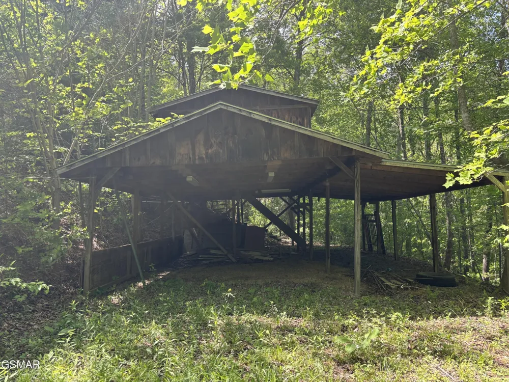 1450 Cabin Way Del Rio, TN 37727