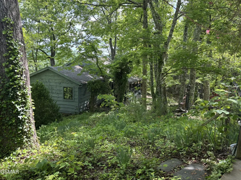 1450 Cabin Way Del Rio, TN 37727