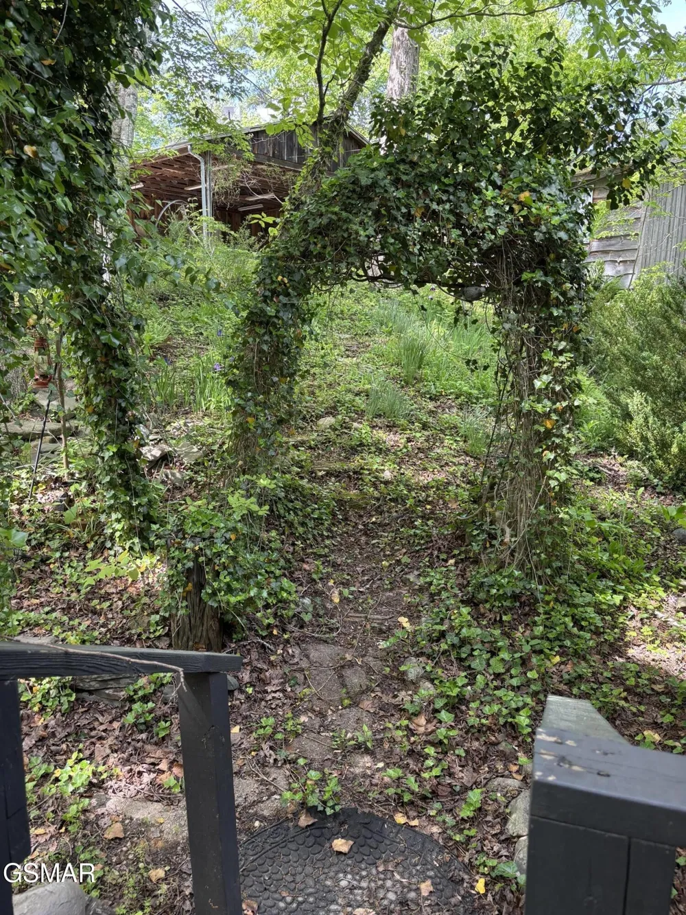1450 Cabin Way Del Rio, TN 37727