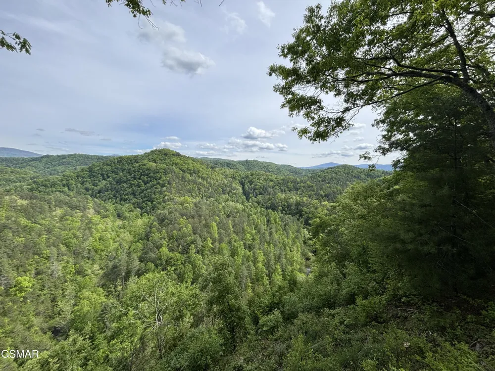 1450 Cabin Way Del Rio, TN 37727