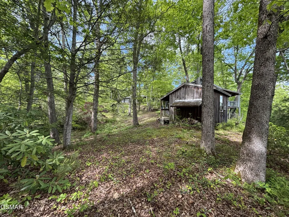 1450 Cabin Way Del Rio, TN 37727
