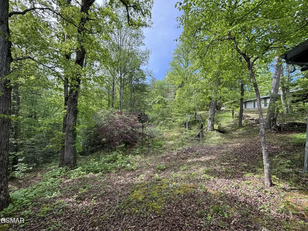 1450 Cabin Way Del Rio, TN 37727