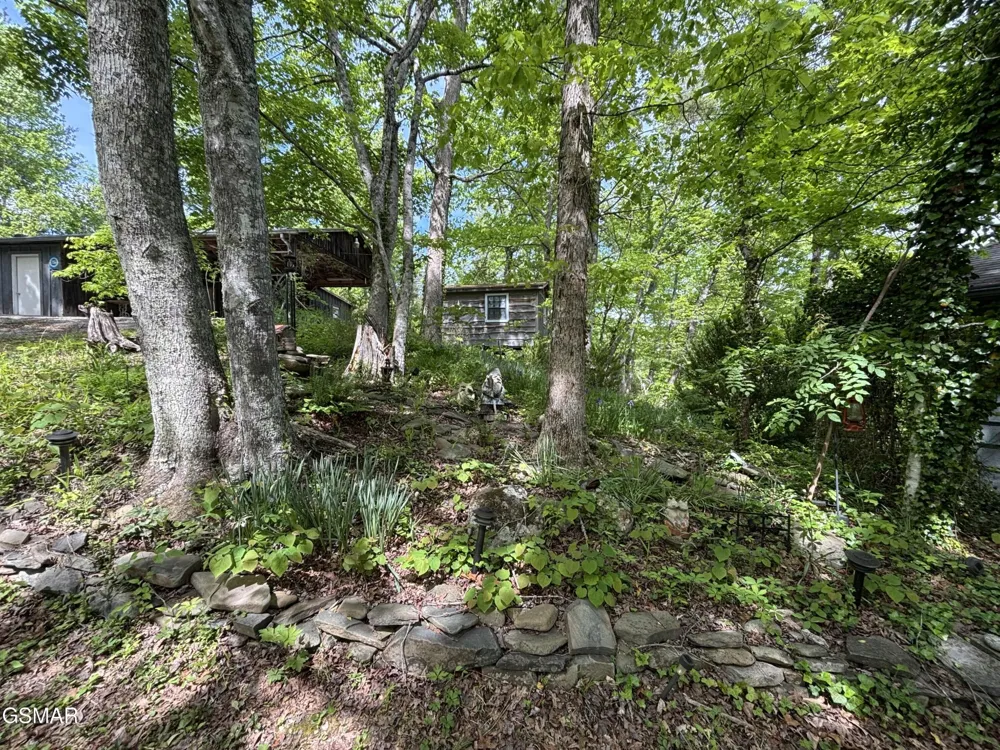 1450 Cabin Way Del Rio, TN 37727