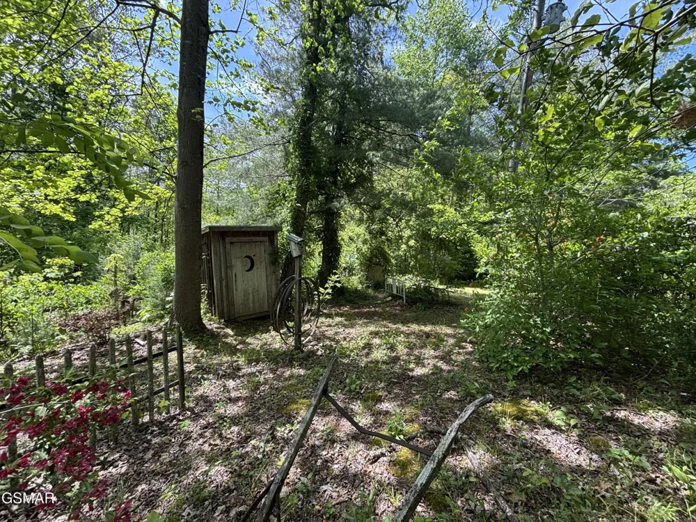 1450 Cabin Way Del Rio, TN 37727