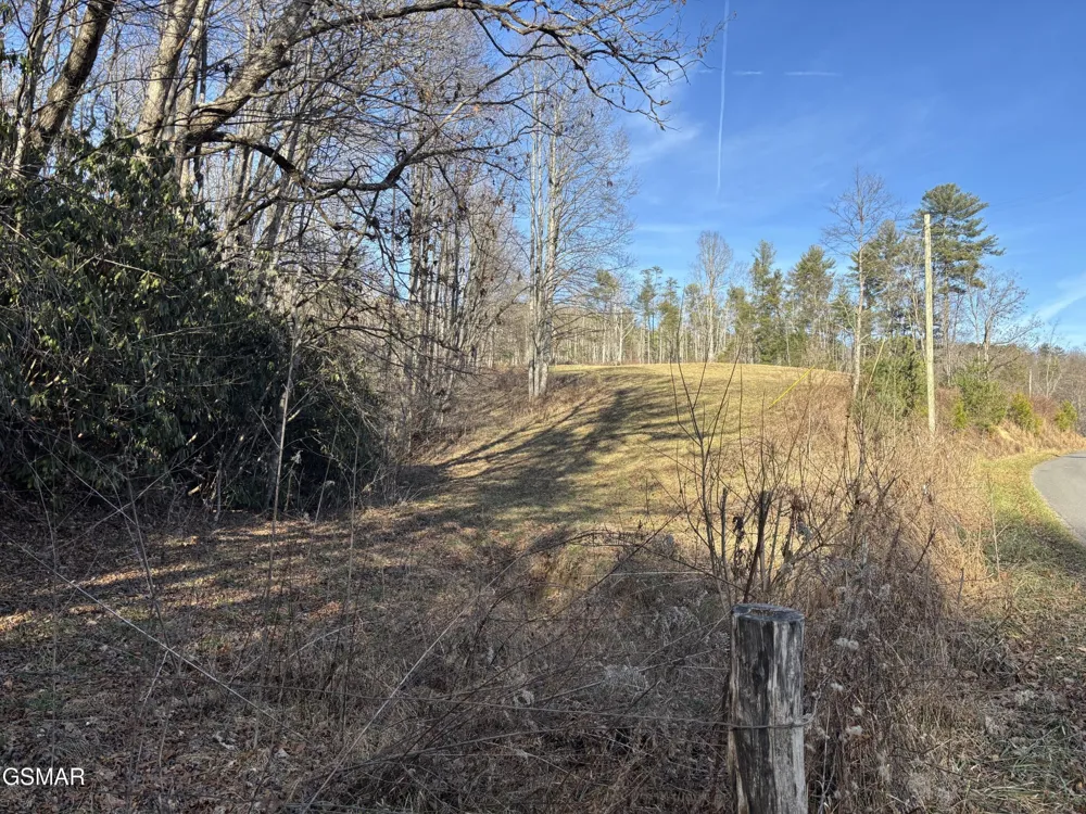 1 Bull Mountain Road Del Rio, TN 37727