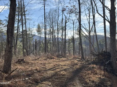 1 Bull Mountain Road