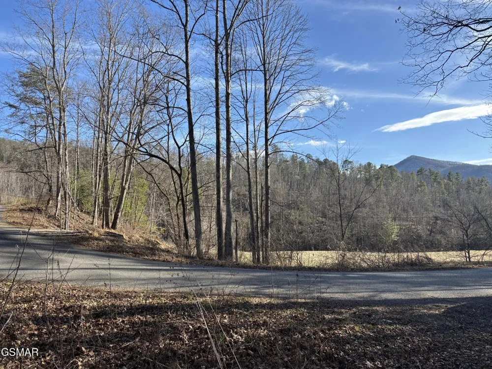 1 Bull Mountain Road Del Rio, TN 37727