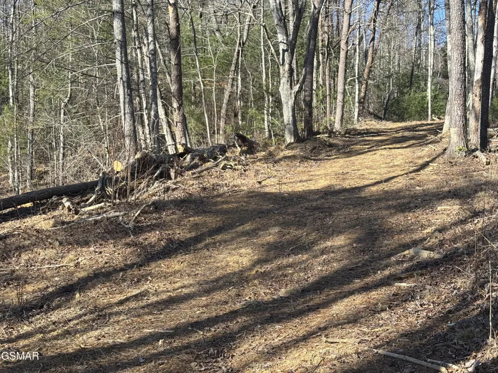 1 Bull Mountain Road Del Rio, TN 37727