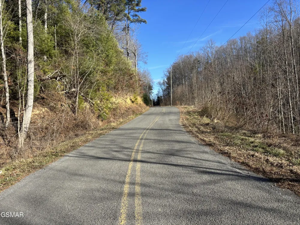1 Bull Mountain Road Del Rio, TN 37727
