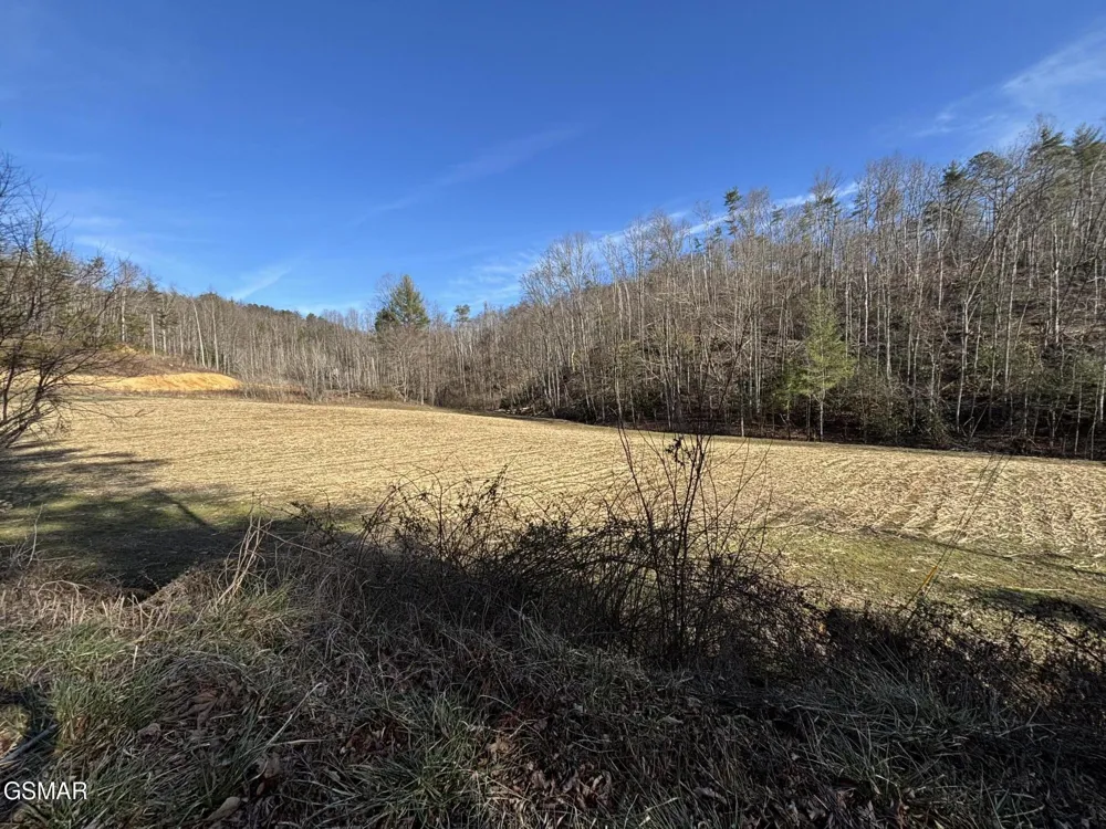 1 Bull Mountain Road Del Rio, TN 37727