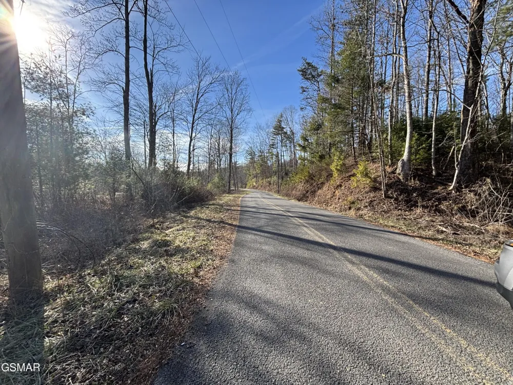 1 Bull Mountain Road Del Rio, TN 37727