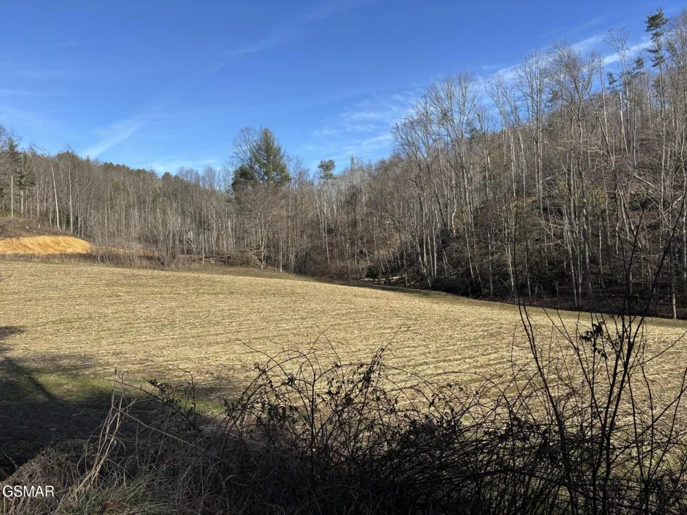 2 Bull Mountain Road Del Rio, TN 37727