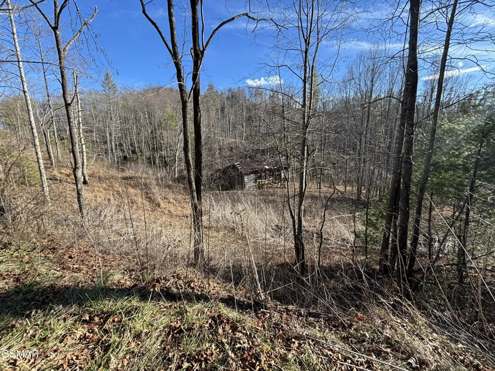 2 Bull Mountain Road Del Rio, TN 37727