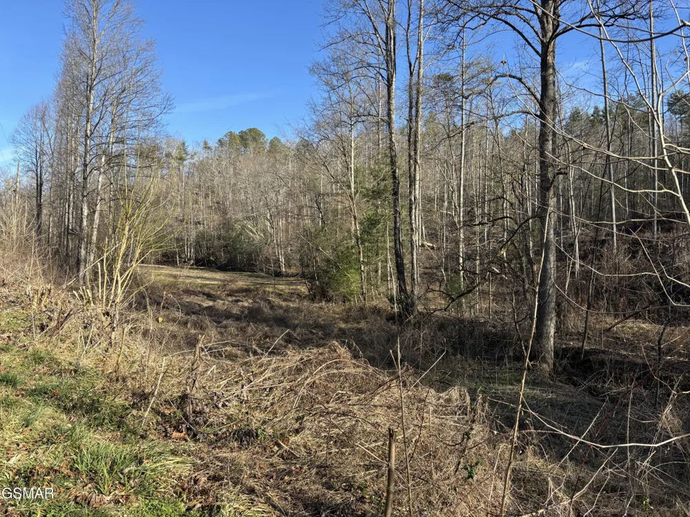 2 Bull Mountain Road Del Rio, TN 37727