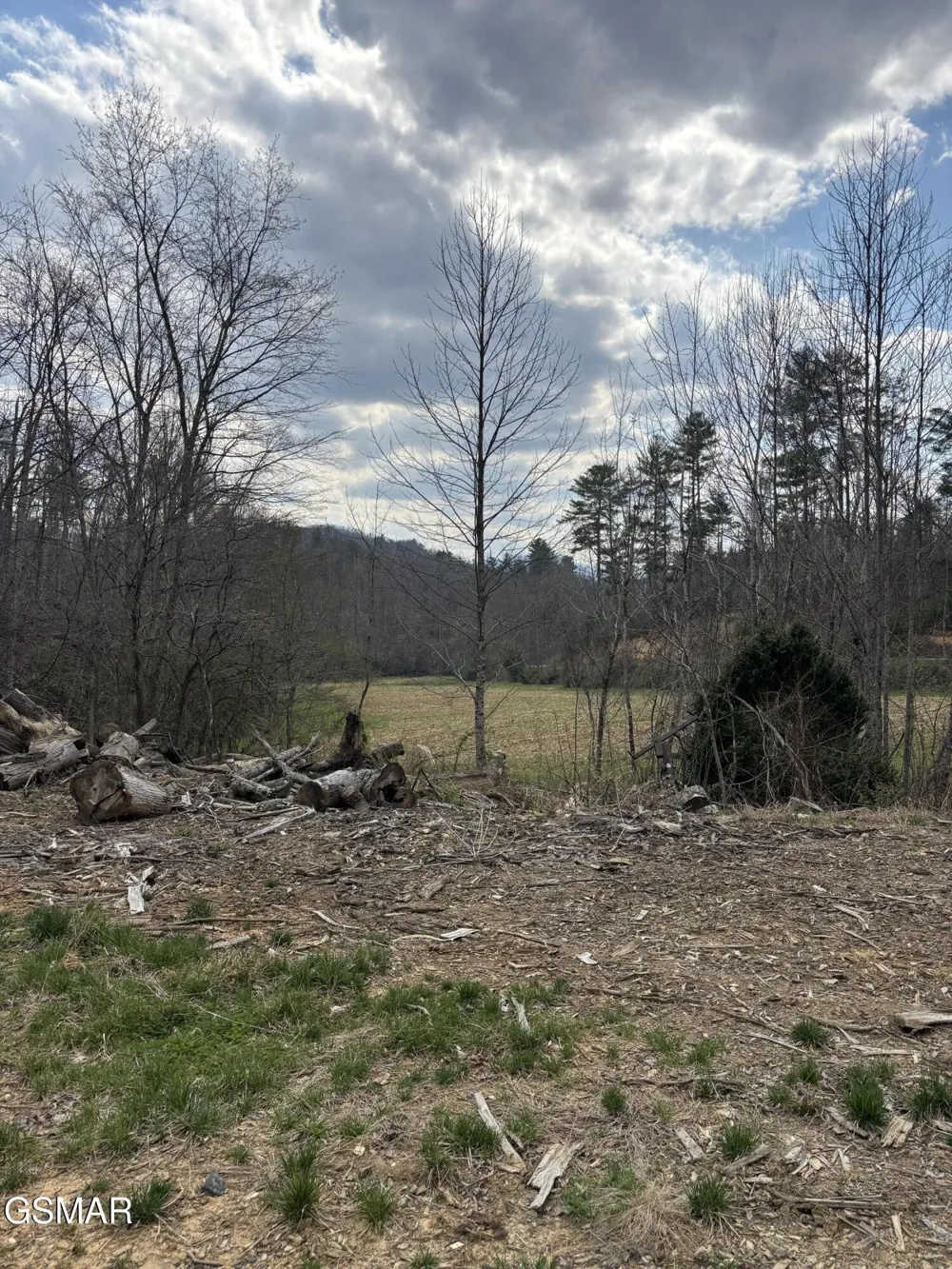 2 Bull Mountain Road Del Rio, TN 37727