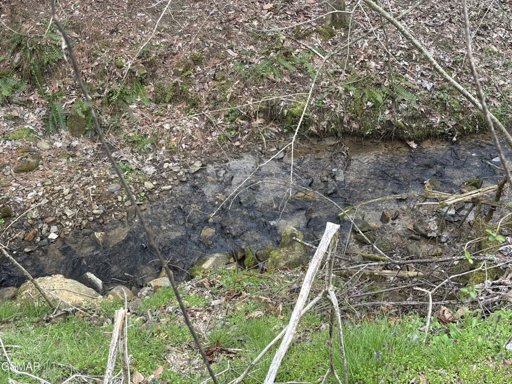 2 Bull Mountain Road Del Rio, TN 37727