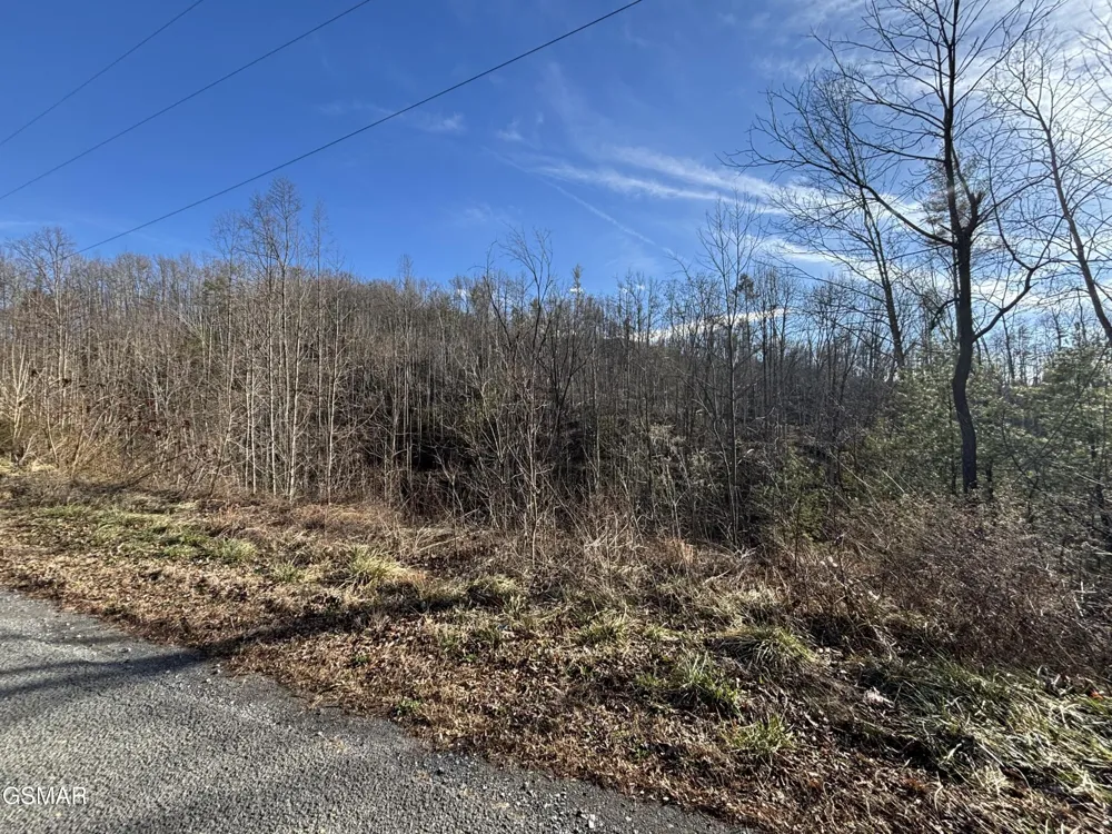 2 Bull Mountain Road Del Rio, TN 37727
